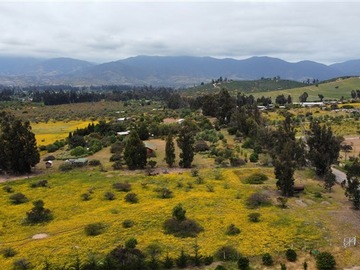 Imagen 14