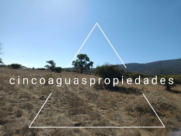 Imagen 14