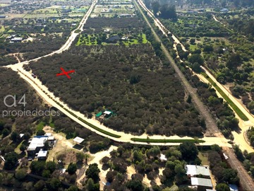 Imagen 16