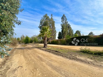 Imagen 4