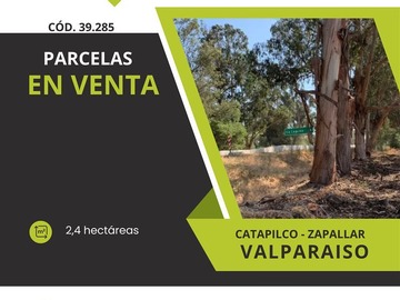 Venta / Parcela / Zapallar