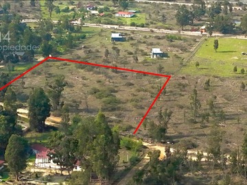 Imagen 7