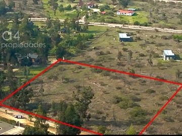 Imagen 12