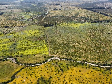 Imagen 12