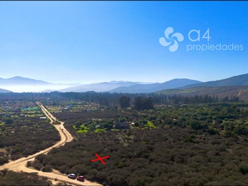Imagen 9