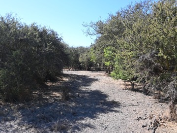 Imagen 5