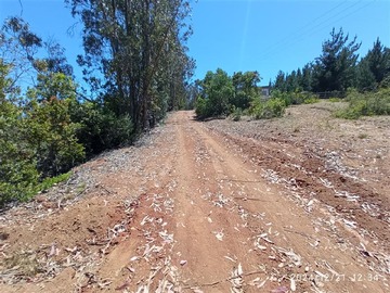 Venta / Sitio / Algarrobo