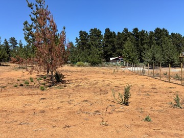 Venta / Sitio / Algarrobo