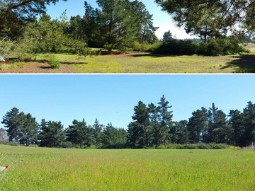 Venta / Sitio / Algarrobo