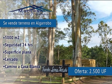 Venta / Sitio / Algarrobo