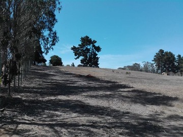 Imagen 6