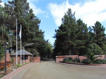 Venta / Sitio / Algarrobo