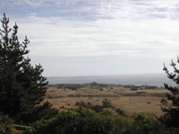 Venta / Sitio / Algarrobo