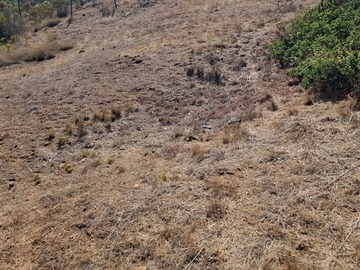 Imagen 14
