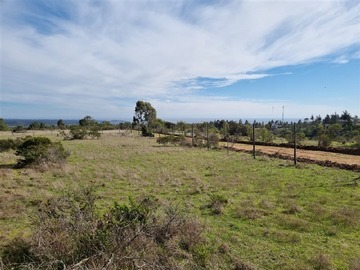 Venta / Sitio / Algarrobo