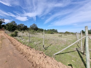 Venta / Sitio / Algarrobo