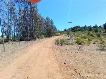 Imagen 13