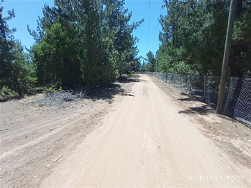 Imagen 9