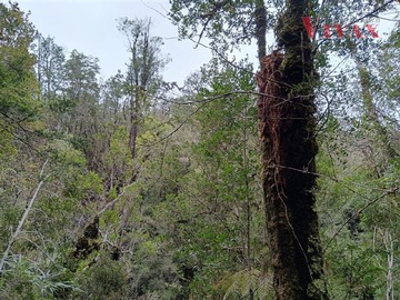 Imagen 11