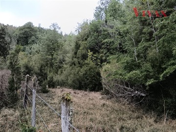 Imagen 9