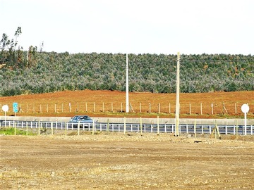 Imagen 9