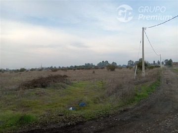 Imagen 7