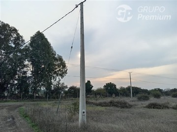 Imagen 10