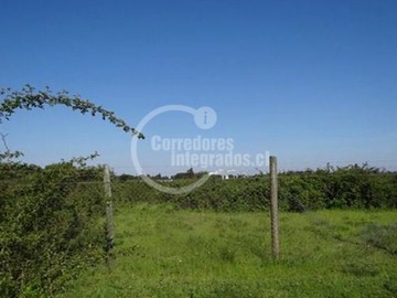 Imagen 13