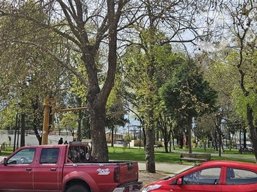 Imagen 13
