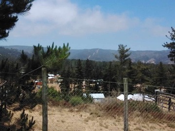 Venta / Sitio / Calle Larga