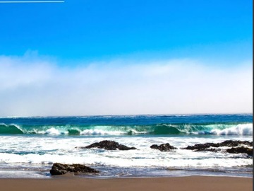 Imagen 5