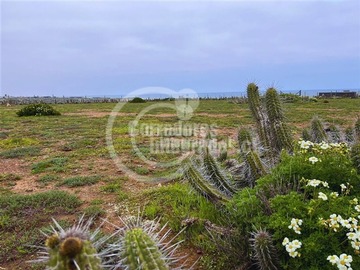 Imagen 5