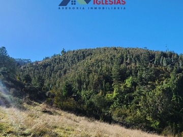 Imagen 9