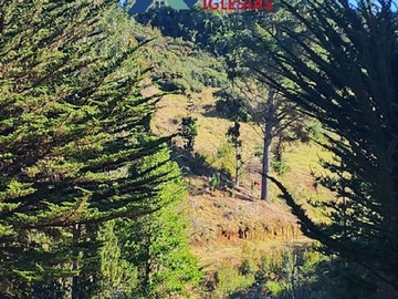Imagen 8