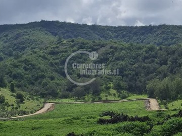 Venta / Sitio / Casablanca