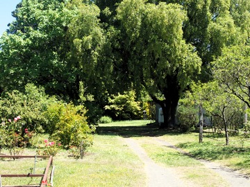 Venta / Sitio / Chiguayante