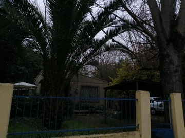 Imagen 5