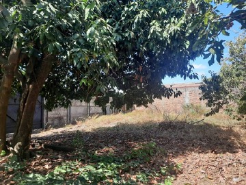 Imagen 6