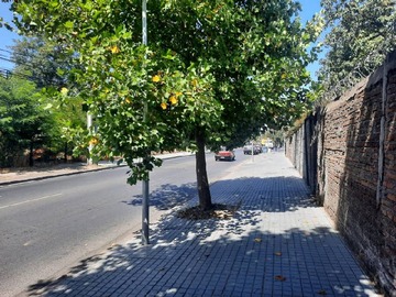 Imagen 10