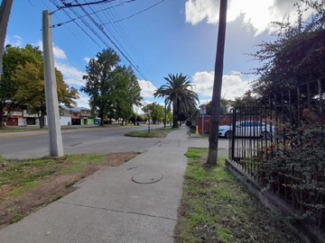 Imagen 9