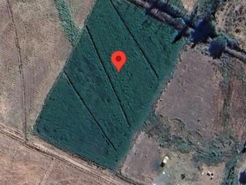 Venta / Sitio / Chimbarongo