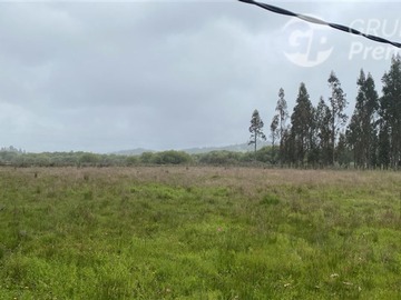 Venta / Sitio / Cholchol