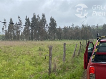 Venta / Sitio / Cholchol