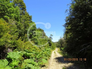 Venta / Sitio / Chonchi