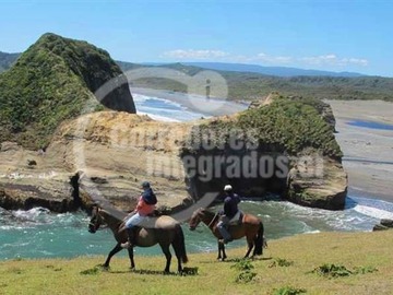 Venta / Sitio / Chonchi