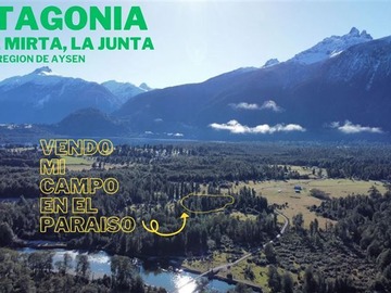 Venta / Sitio / Cisnes