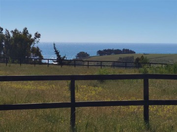 Venta / Sitio / Cobquecura