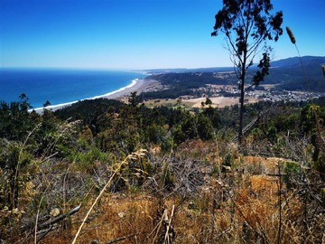 Venta / Sitio / Cobquecura
