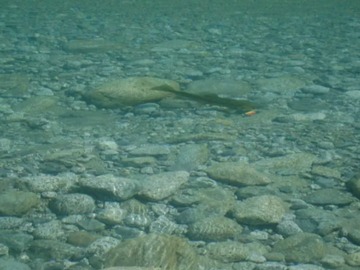 Imagen 5