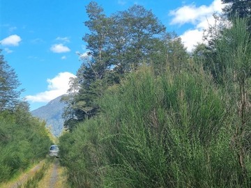 Imagen 13